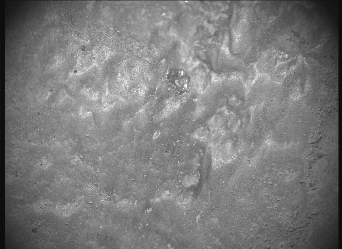 This image was taken by SHERLOC_ACI onboard NASA's Mars rover Perseverance on Sol 558