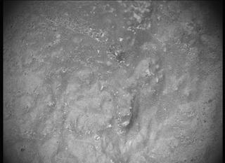 View image taken on Mars, Mars Perseverance Sol 558: SHERLOC ACI Camera 