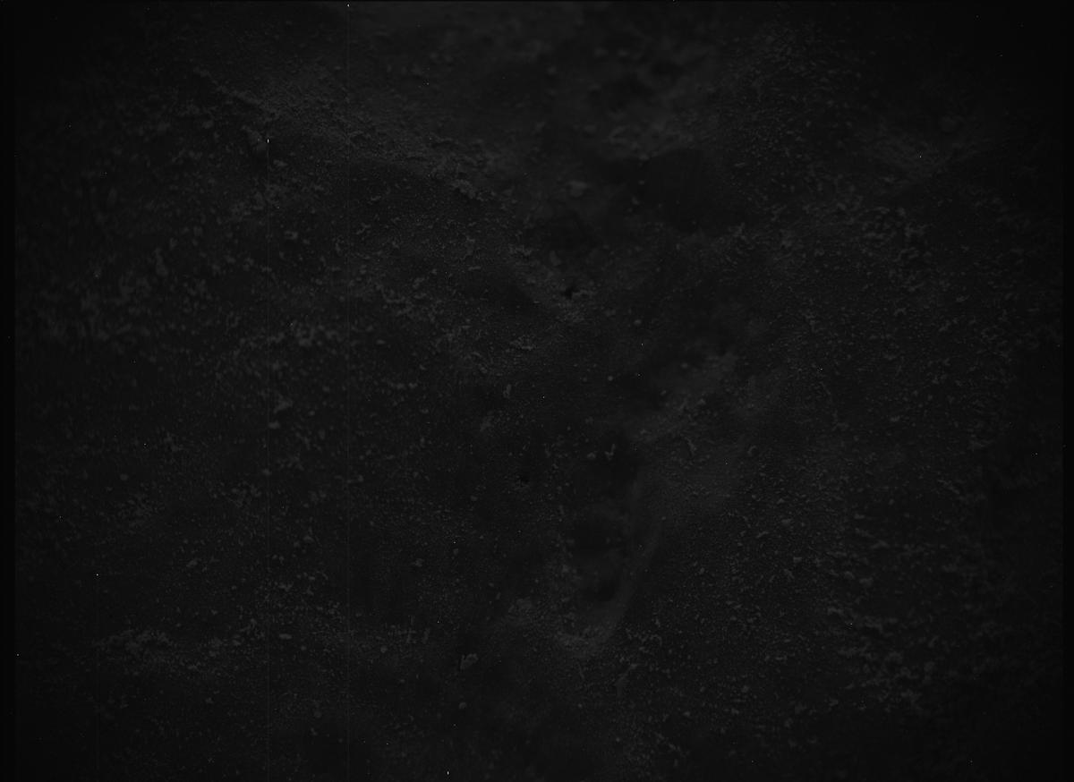 This image was taken by SHERLOC_ACI onboard NASA's Mars rover Perseverance on Sol 558