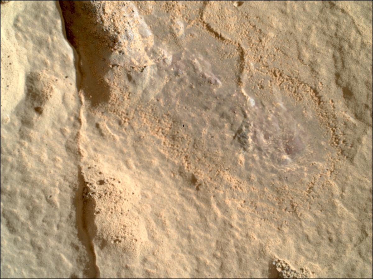 This image was taken by SHERLOC_WATSON onboard NASA's Mars rover Perseverance on Sol 558