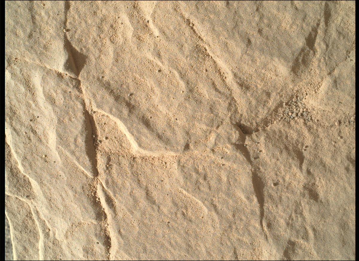 This image was taken by SHERLOC_WATSON onboard NASA's Mars rover Perseverance on Sol 558