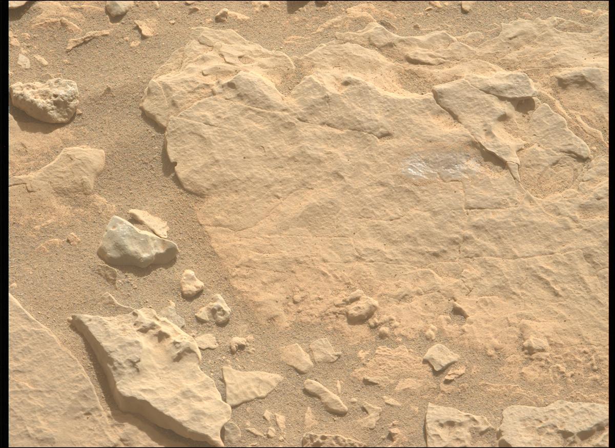This image was taken by MCZ_LEFT onboard NASA's Mars rover Perseverance on Sol 558