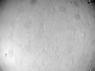 View image taken on Mars, Mars Helicopter Sol 561: Navigation Camera