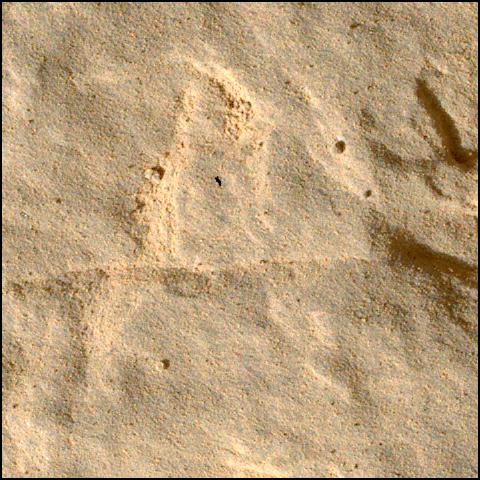 This image was taken by SHERLOC_WATSON onboard NASA's Mars rover Perseverance on Sol 566