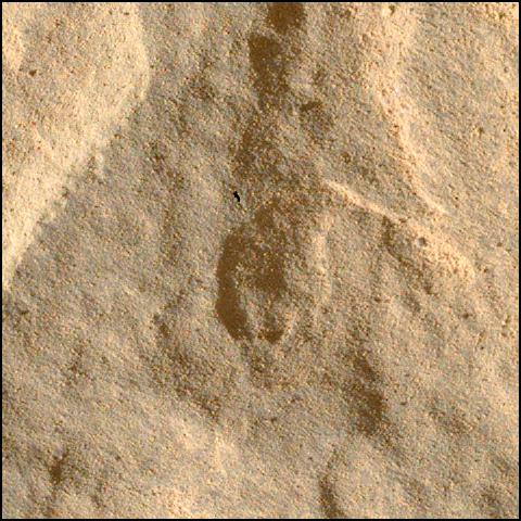This image was taken by SHERLOC_WATSON onboard NASA's Mars rover Perseverance on Sol 566