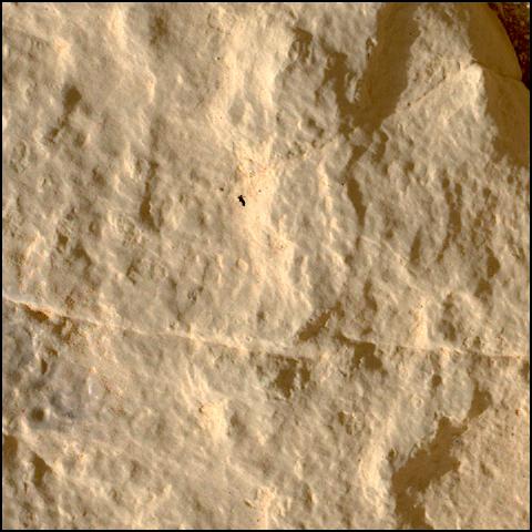 This image was taken by SHERLOC_WATSON onboard NASA's Mars rover Perseverance on Sol 566