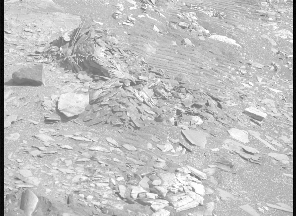 This image was taken by MCZ_LEFT onboard NASA's Mars rover Perseverance on Sol 566