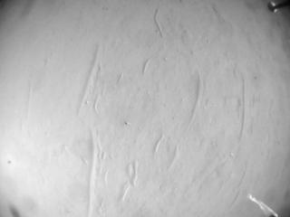 View image taken on Mars, Mars Helicopter Sol 567: Navigation Camera