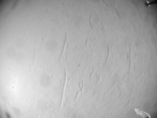 This image was taken by HELI_NAV onboard NASA's Mars rover Perseverance on Sol 567