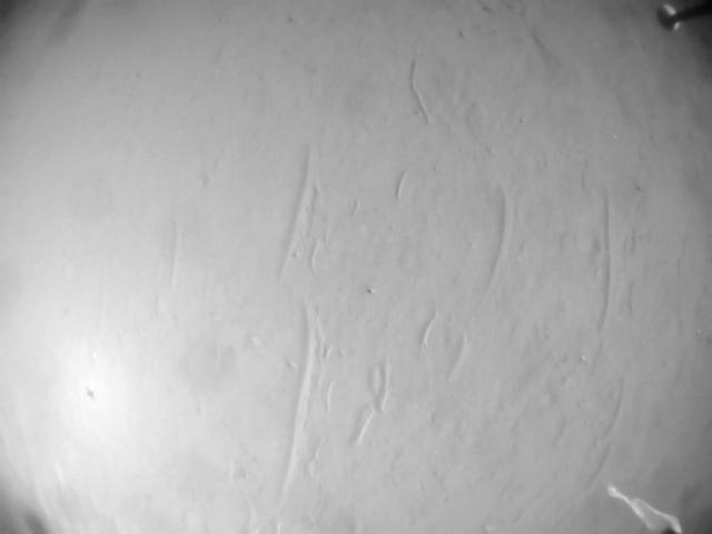 This image was taken by HELI_NAV onboard NASA's Mars rover Perseverance on Sol 567