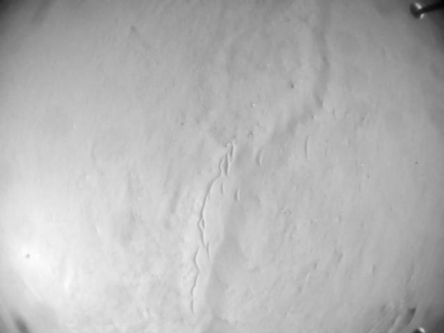 This image was taken by HELI_NAV onboard NASA's Mars rover Perseverance on Sol 567