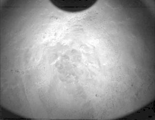 View image taken on Mars, Mars Perseverance Sol 567: PIXL Camera 