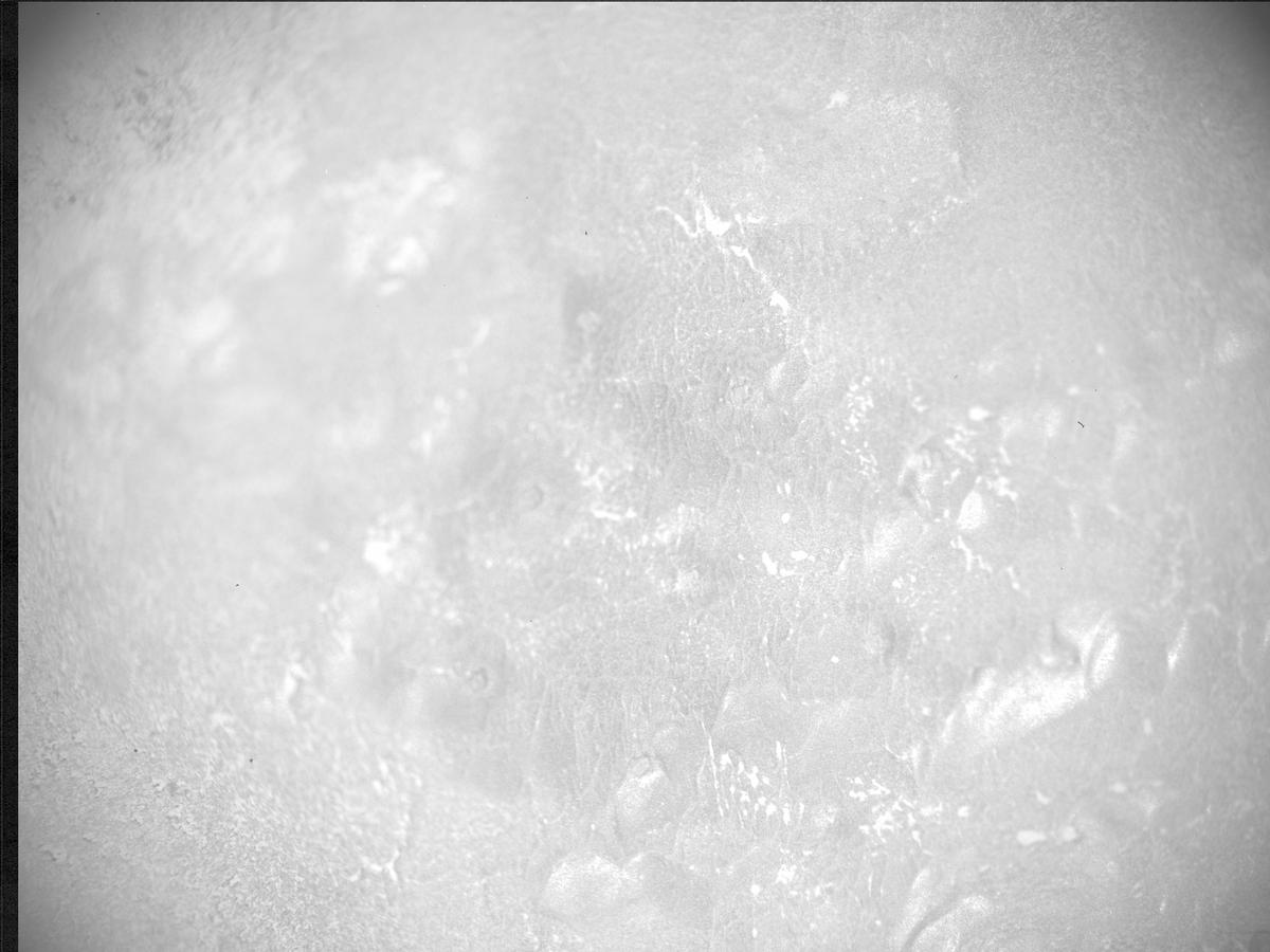 This image was taken by SHERLOC_ACI onboard NASA's Mars rover Perseverance on Sol 567