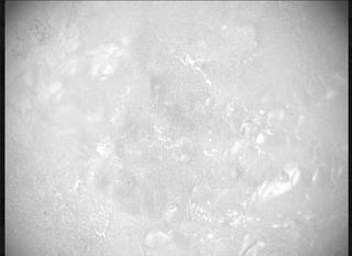 View image taken on Mars, Mars Perseverance Sol 567: SHERLOC ACI Camera 