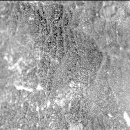 View image taken on Mars, Mars Perseverance Sol 567: SHERLOC ACI Camera 