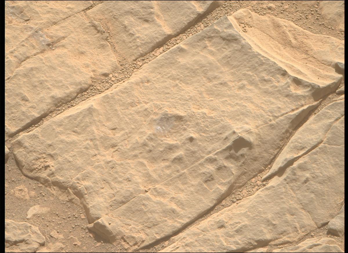 This image was taken by MCZ_RIGHT onboard NASA's Mars rover Perseverance on Sol 567