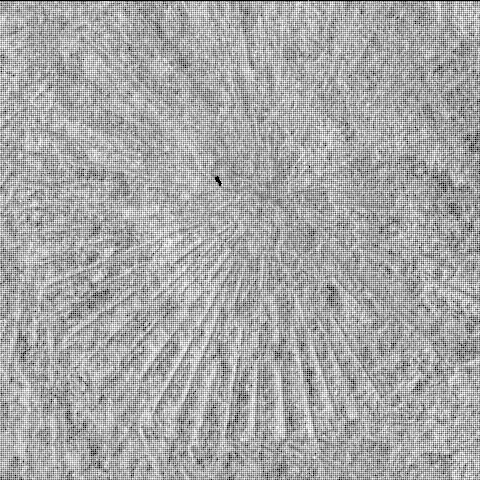 This image was taken by SHERLOC_WATSON onboard NASA's Mars rover Perseverance on Sol 568