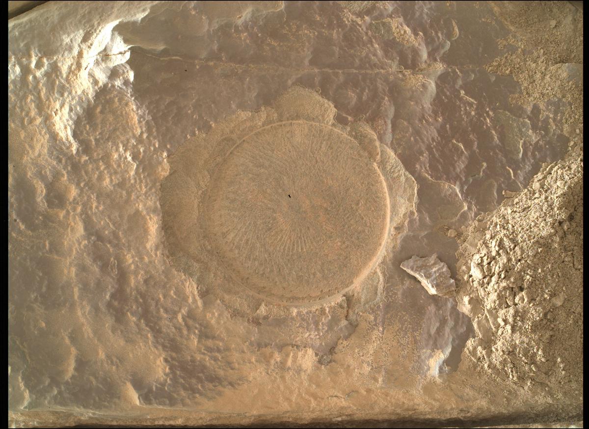 Mars Rover Photo #1033751