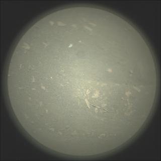 View image taken on Mars, Mars Perseverance Sol 569: SuperCam Camera