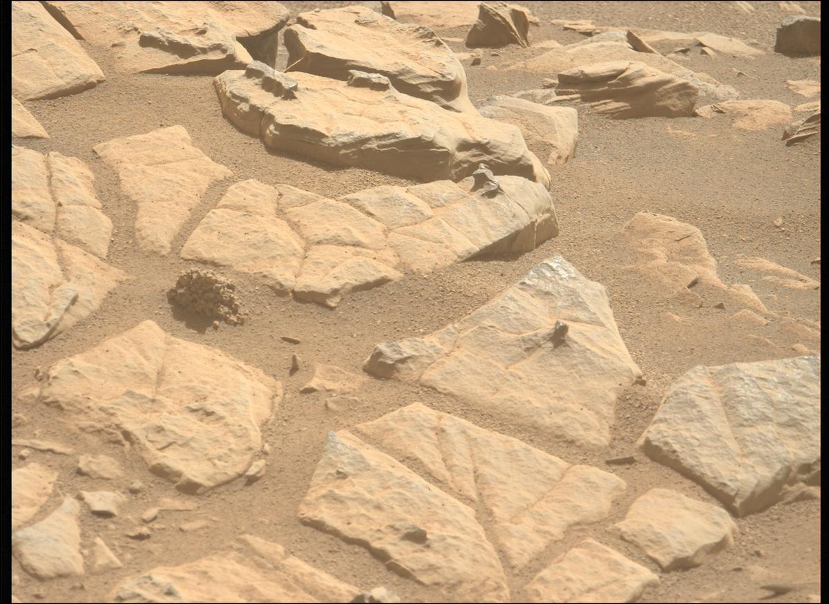 This image was taken by MCZ_LEFT onboard NASA's Mars rover Perseverance on Sol 569