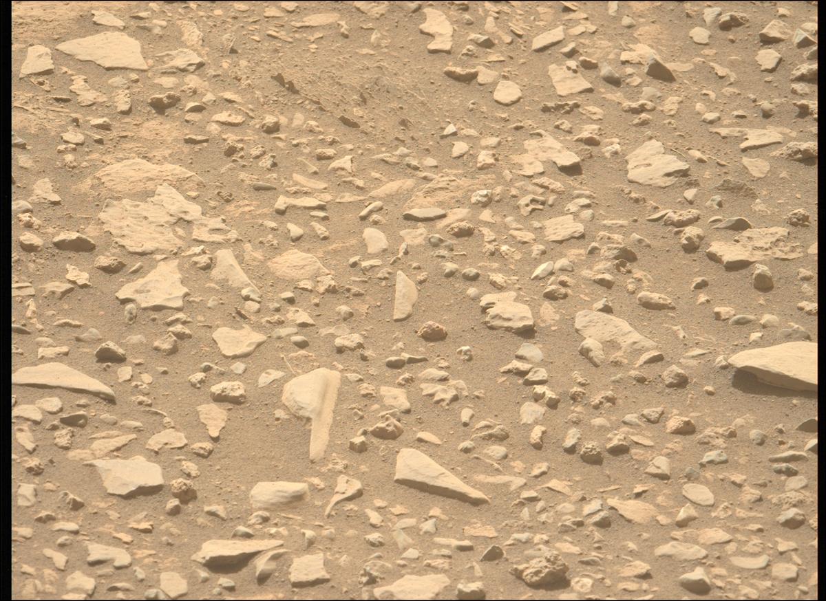 This image was taken by MCZ_LEFT onboard NASA's Mars rover Perseverance on Sol 569