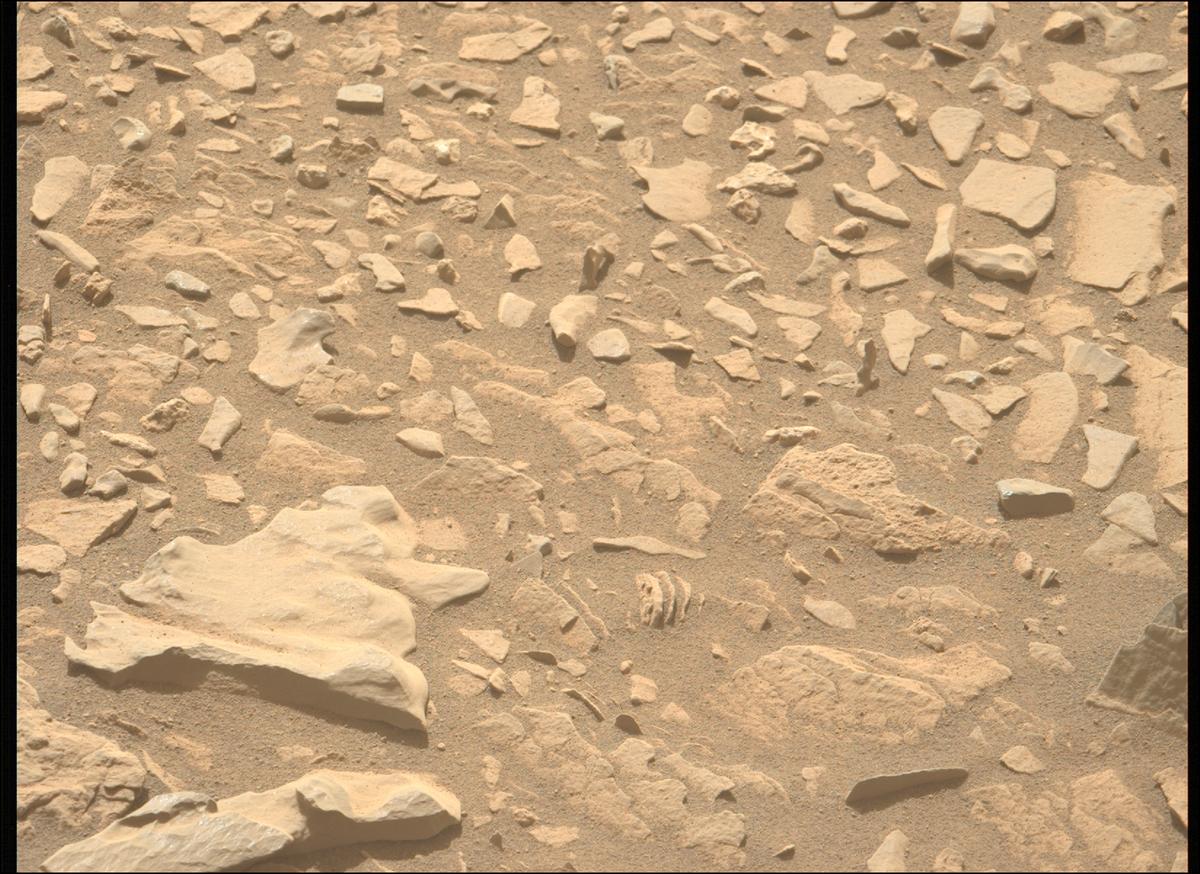 This image was taken by MCZ_LEFT onboard NASA's Mars rover Perseverance on Sol 569