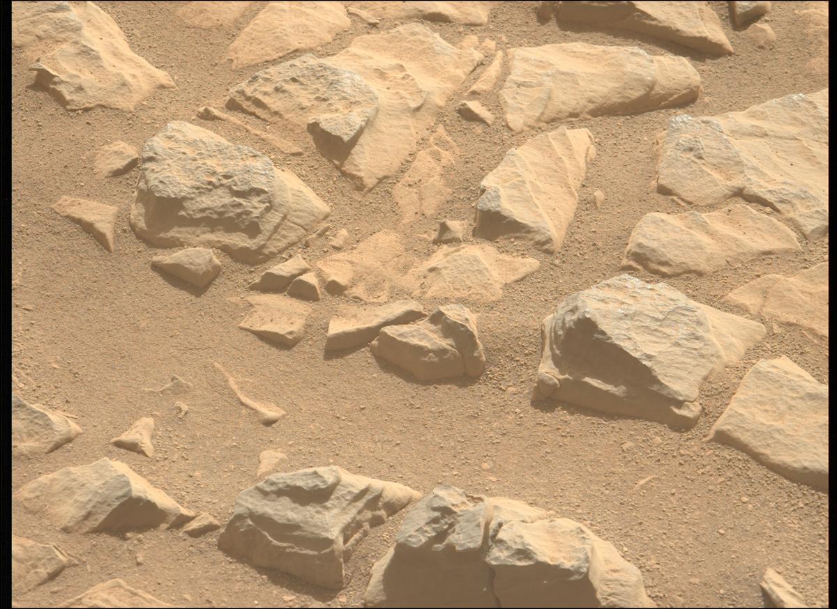 This image was taken by MCZ_LEFT onboard NASA's Mars rover Perseverance on Sol 569