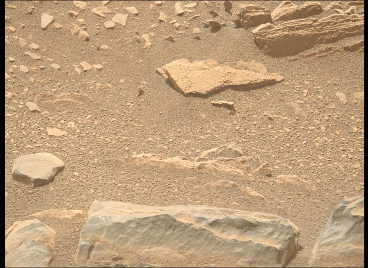 This image was taken by MCZ_LEFT onboard NASA's Mars rover Perseverance on Sol 569