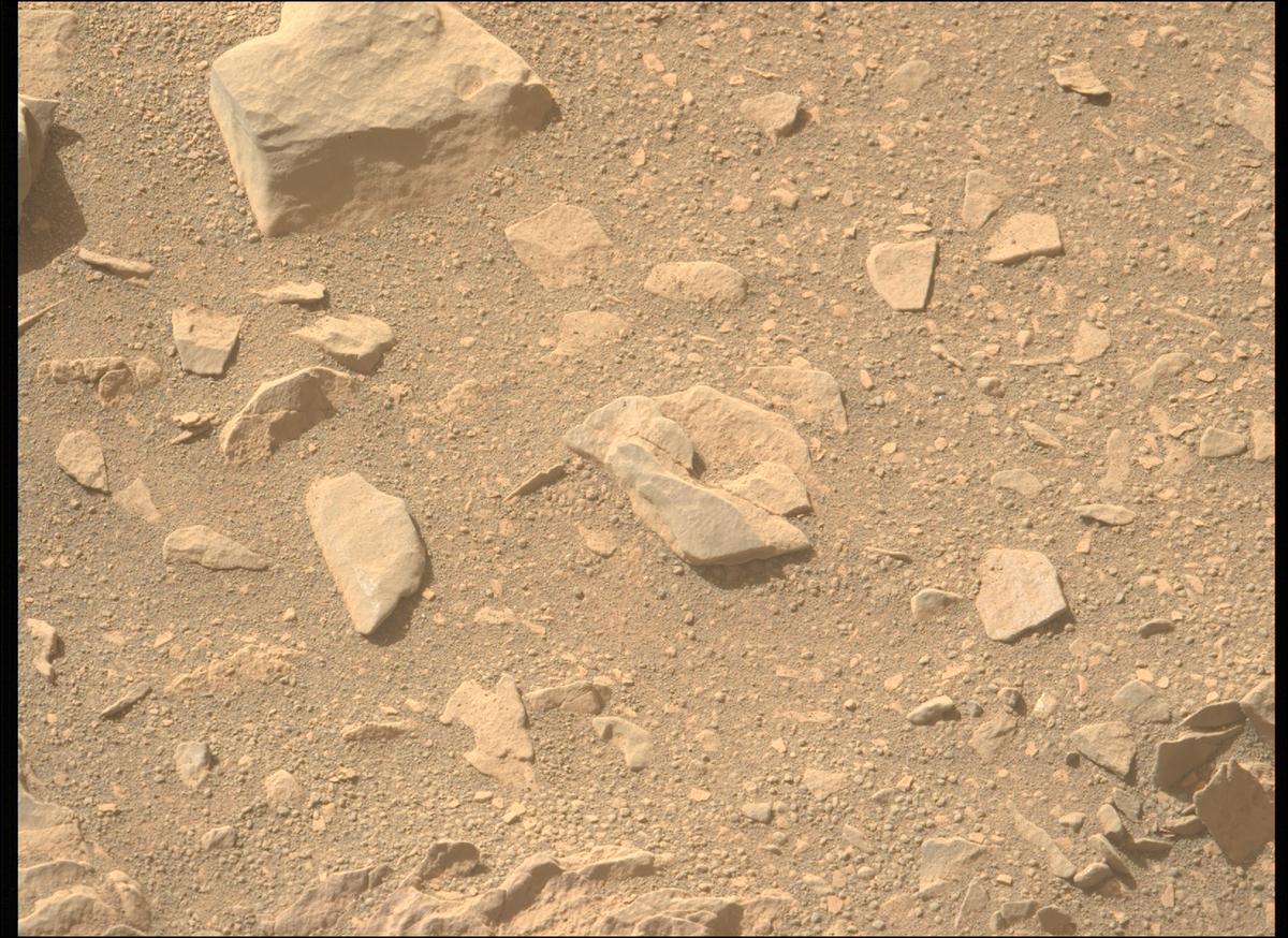 This image was taken by MCZ_LEFT onboard NASA's Mars rover Perseverance on Sol 569