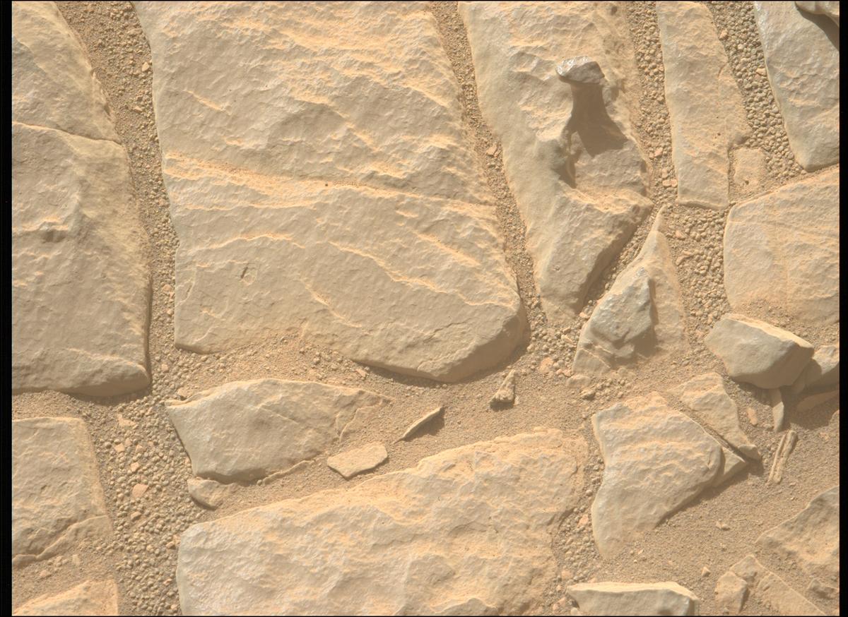 This image was taken by MCZ_LEFT onboard NASA's Mars rover Perseverance on Sol 569