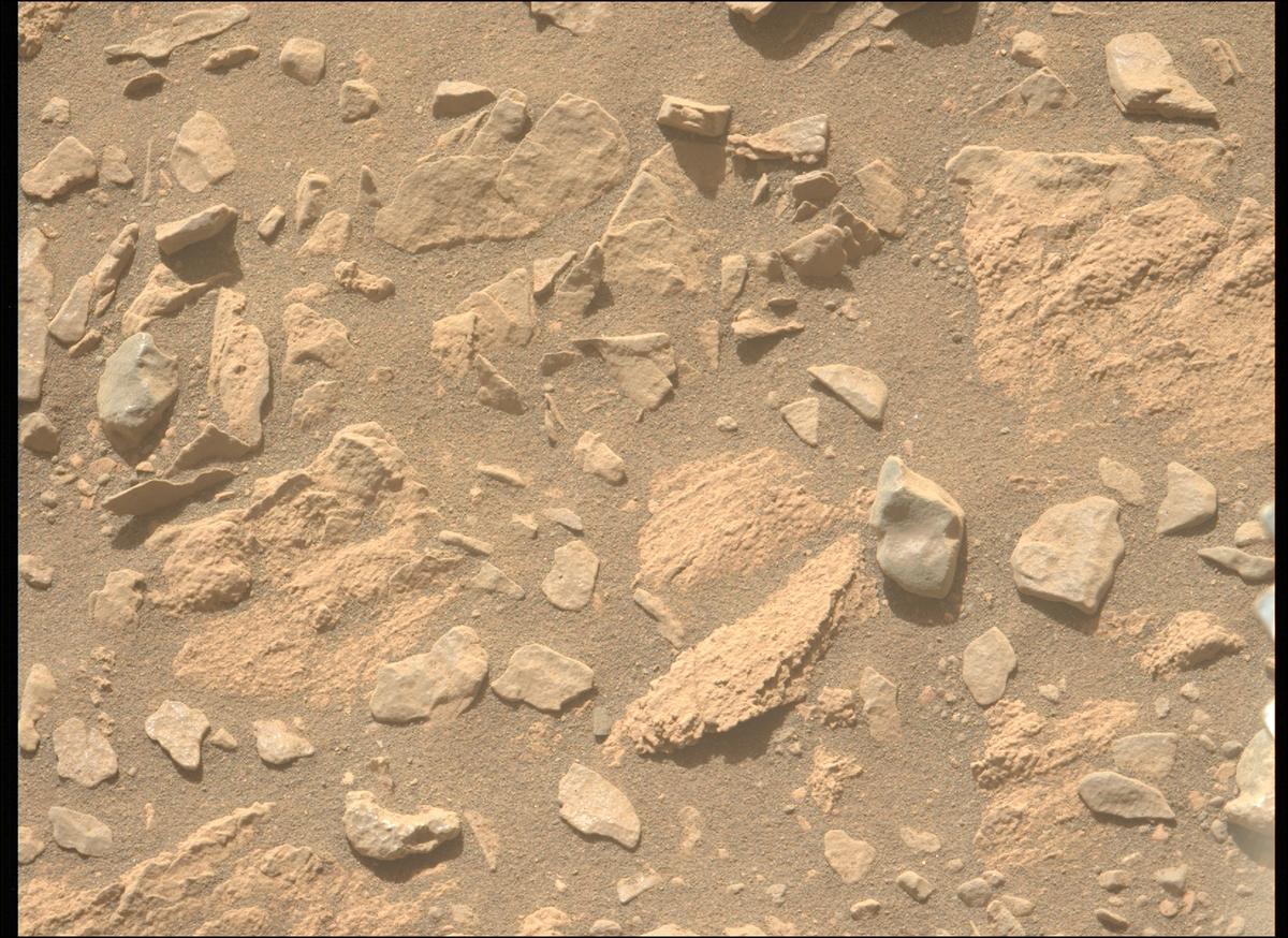 This image was taken by MCZ_LEFT onboard NASA's Mars rover Perseverance on Sol 569