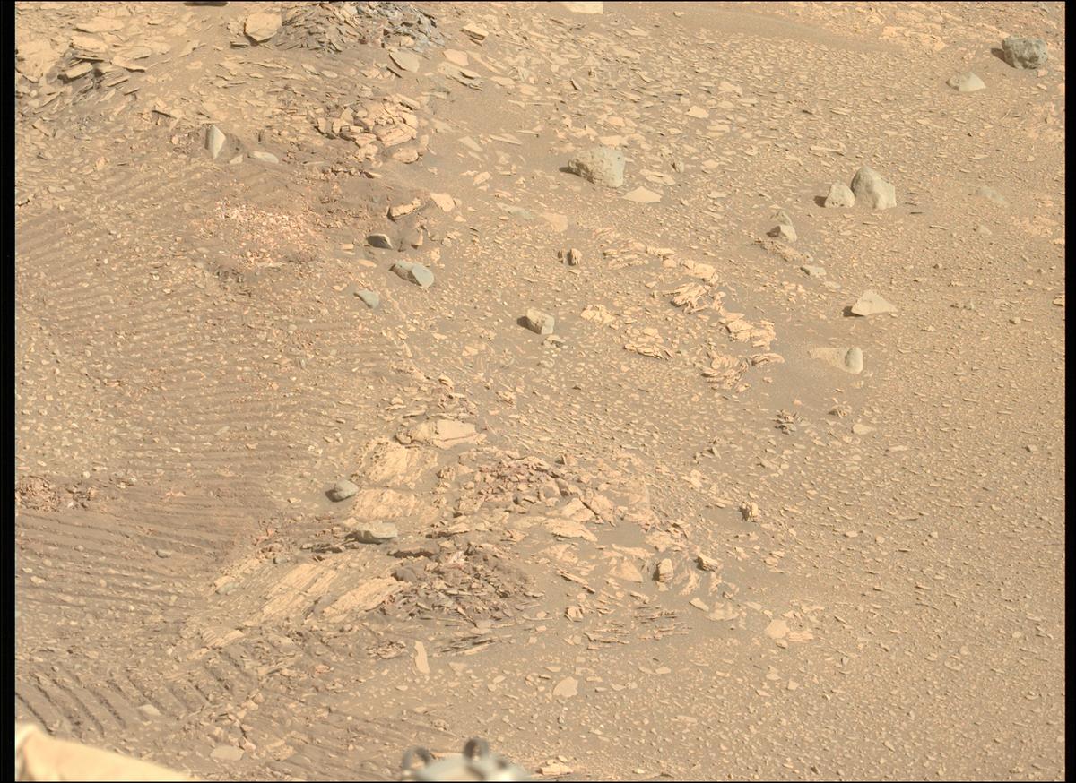 This image was taken by MCZ_LEFT onboard NASA's Mars rover Perseverance on Sol 569
