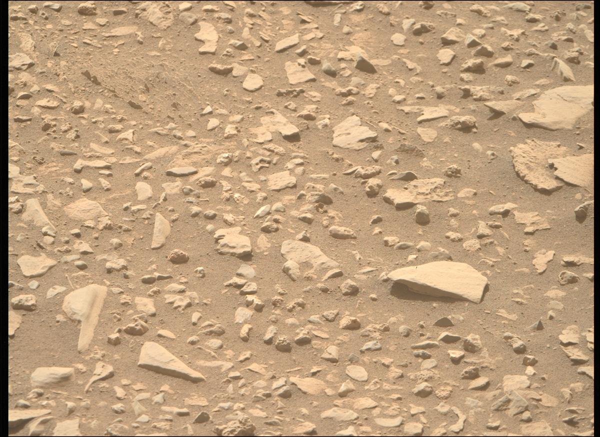 This image was taken by MCZ_RIGHT onboard NASA's Mars rover Perseverance on Sol 569