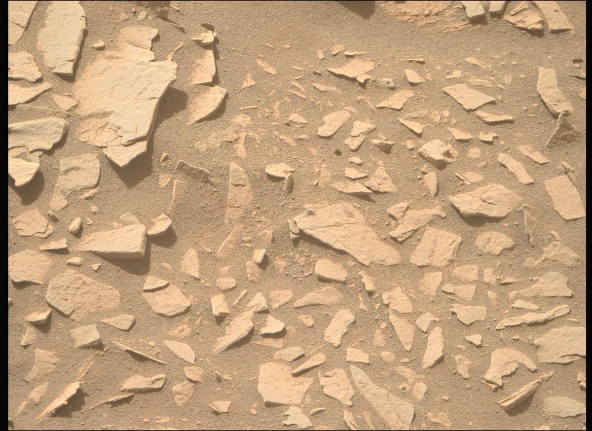 This image was taken by MCZ_RIGHT onboard NASA's Mars rover Perseverance on Sol 569
