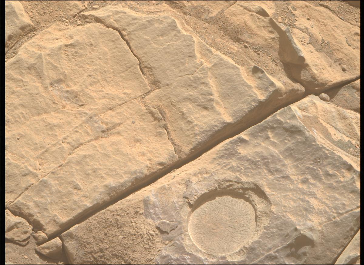 This image was taken by MCZ_RIGHT onboard NASA's Mars rover Perseverance on Sol 569