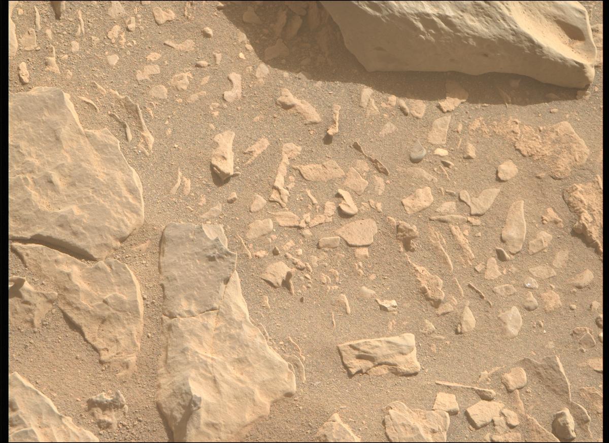 This image was taken by MCZ_RIGHT onboard NASA's Mars rover Perseverance on Sol 569
