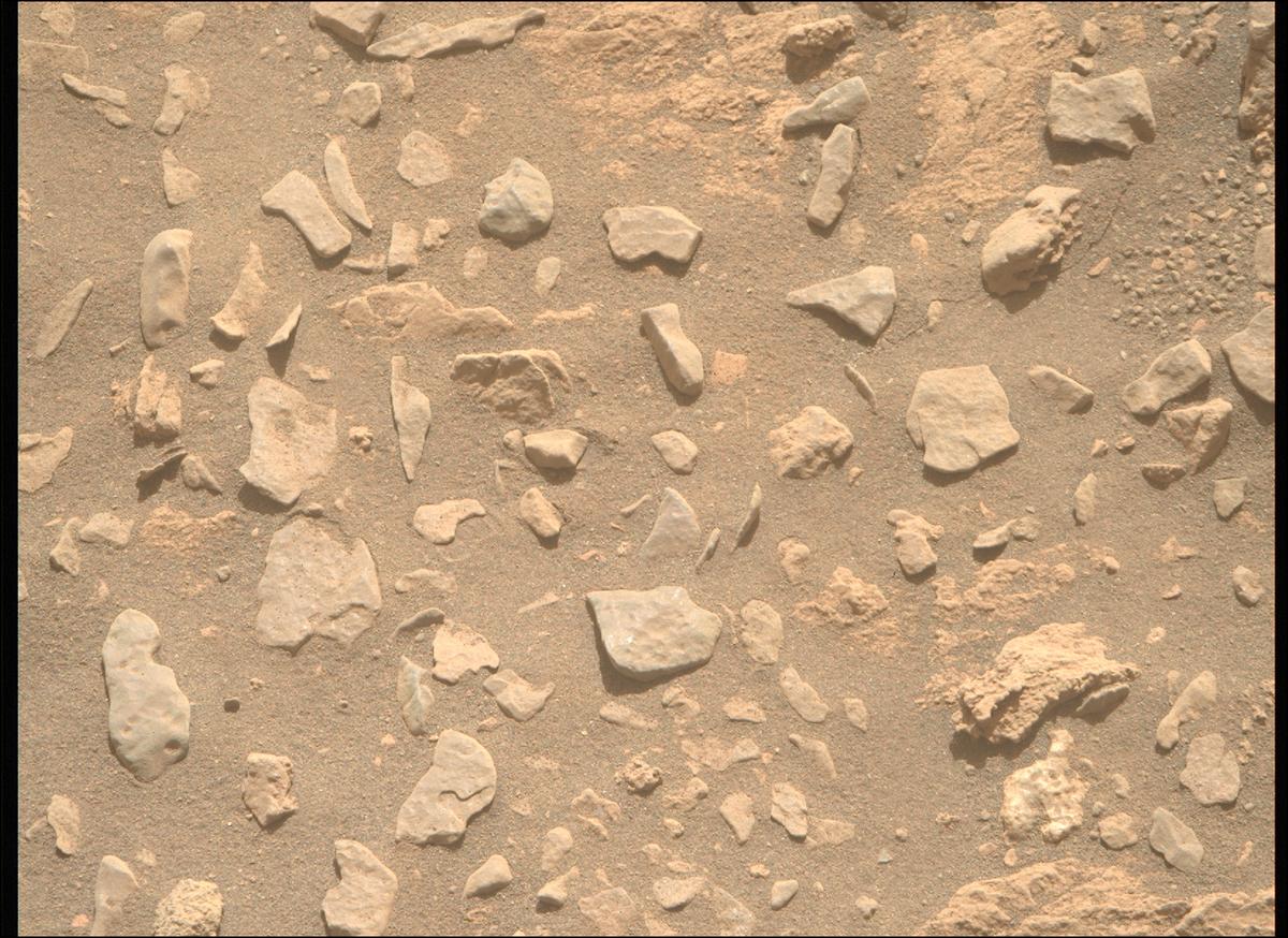 This image was taken by MCZ_RIGHT onboard NASA's Mars rover Perseverance on Sol 569