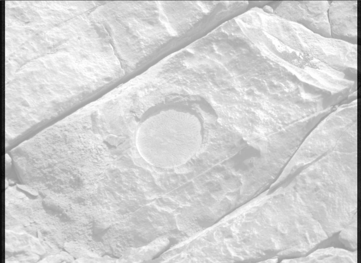 This image was taken by MCZ_RIGHT onboard NASA's Mars rover Perseverance on Sol 569