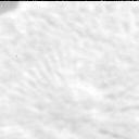 This image was taken by MCZ_RIGHT onboard NASA's Mars rover Perseverance on Sol 569