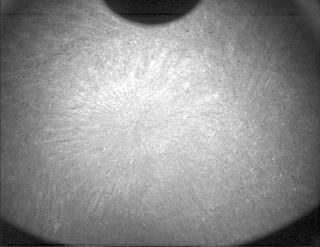 View image taken on Mars, Mars Perseverance Sol 570: PIXL Camera 