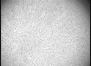 View image taken on Mars, Mars Perseverance Sol 570: SHERLOC ACI Camera 