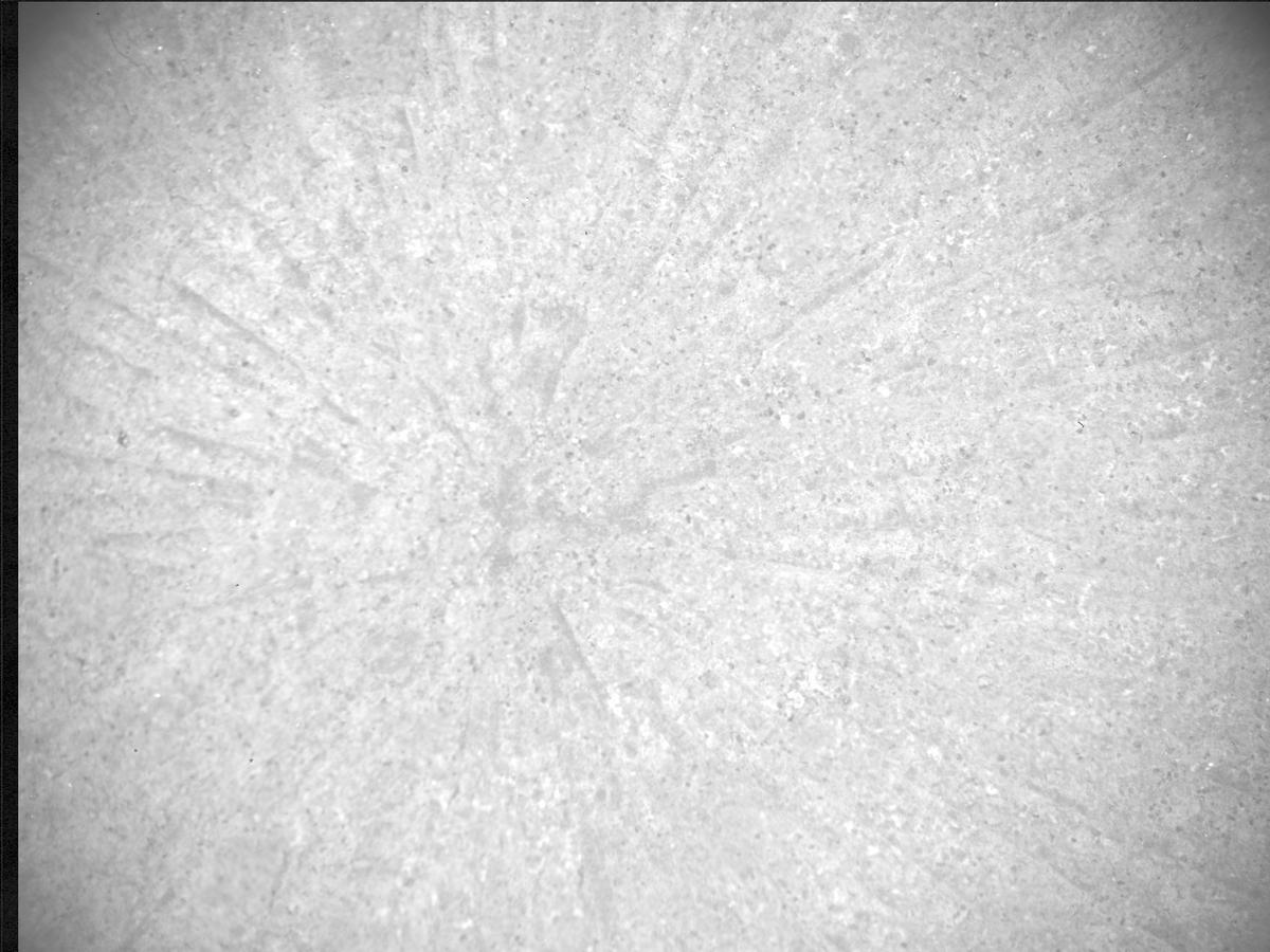 This image was taken by SHERLOC_ACI onboard NASA's Mars rover Perseverance on Sol 570