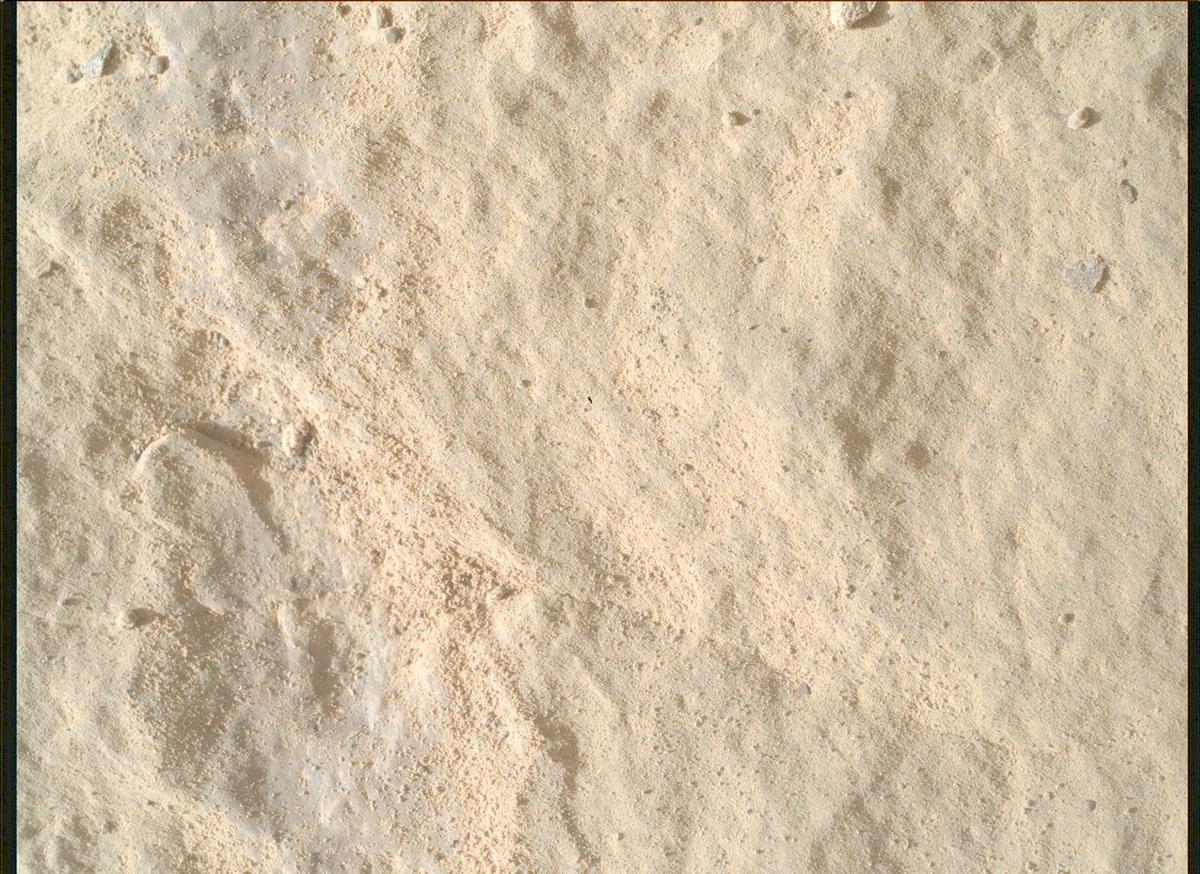 This image was taken by SHERLOC_WATSON onboard NASA's Mars rover Perseverance on Sol 570