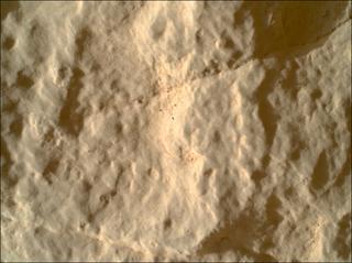 View image taken on Mars, Mars Perseverance Sol 570: WATSON Camera 