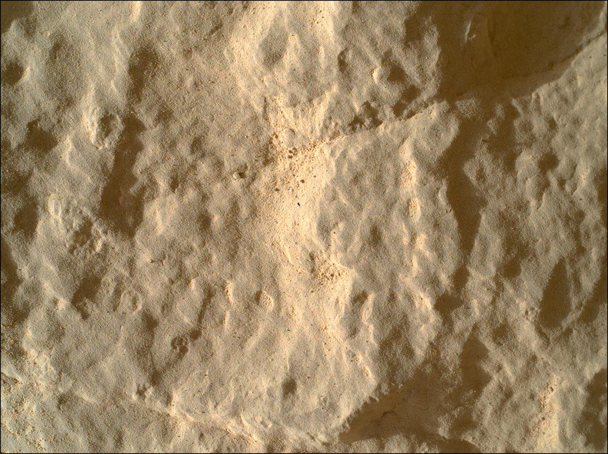 This image was taken by SHERLOC_WATSON onboard NASA's Mars rover Perseverance on Sol 570