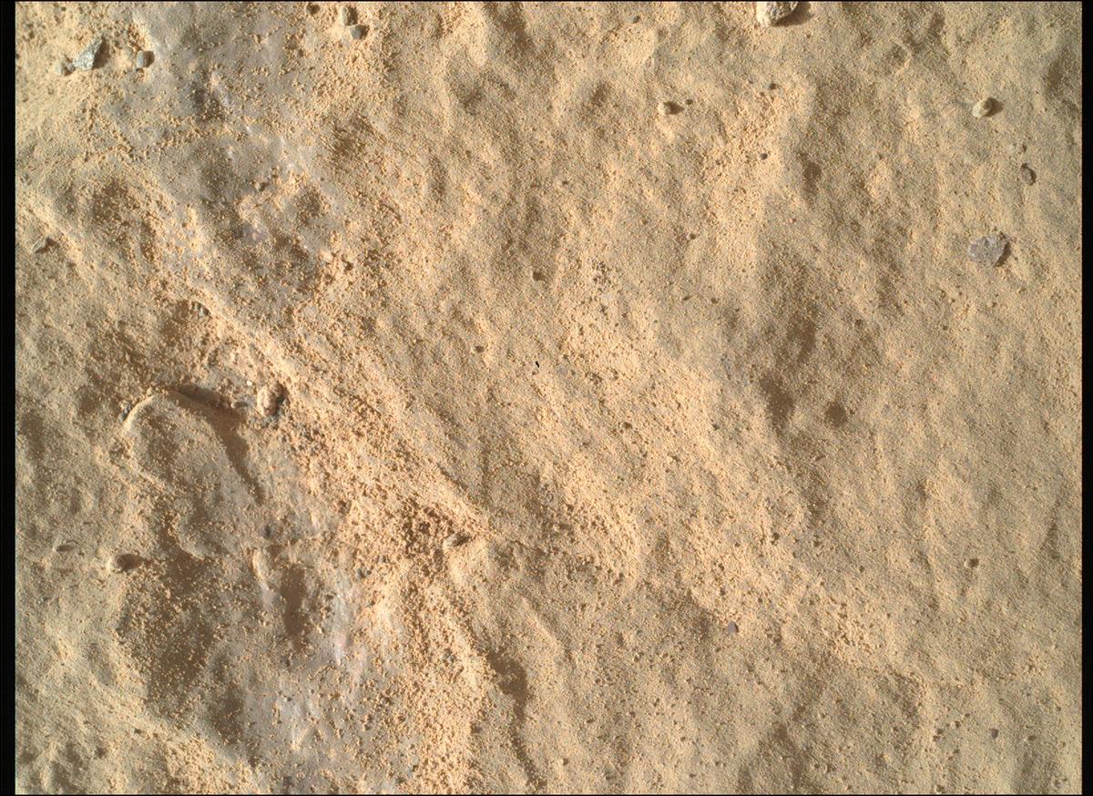 This image was taken by SHERLOC_WATSON onboard NASA's Mars rover Perseverance on Sol 570