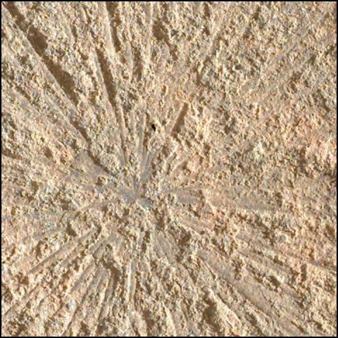 This image was taken by SHERLOC_WATSON onboard NASA's Mars rover Perseverance on Sol 570