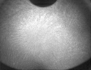 View image taken on Mars, Mars Perseverance Sol 571: PIXL Camera 