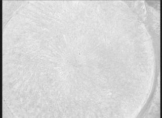 View image taken on Mars, Mars Perseverance Sol 571: WATSON Camera 