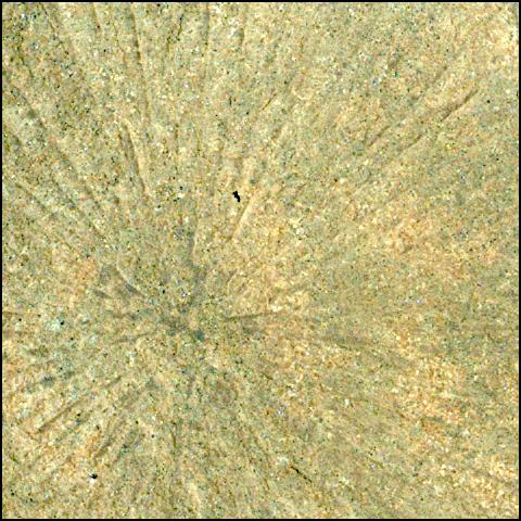 This image was taken by SHERLOC_WATSON onboard NASA's Mars rover Perseverance on Sol 571